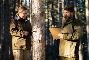 Especialistas en la digitalización y control de los procesos de certificación forestal